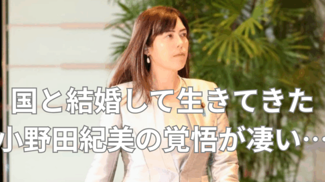 小野田紀美ブログ アイキャッチ画像